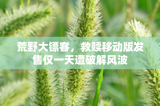 荒野大镖客，救赎移动版发售仅一天遭破解风波