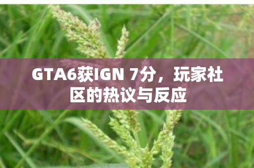 GTA6获IGN 7分，玩家社区的热议与反应