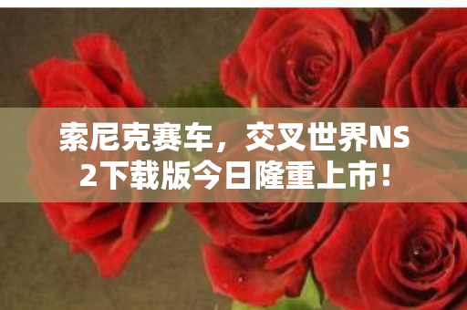索尼克赛车，交叉世界NS2下载版今日隆重上市！