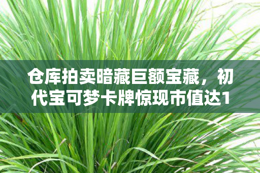 仓库拍卖暗藏巨额宝藏，初代宝可梦卡牌惊现市值达19万！