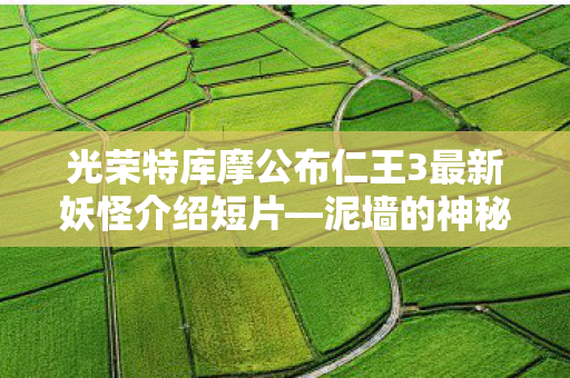 光荣特库摩公布仁王3最新妖怪介绍短片—泥墙的神秘面纱揭晓！