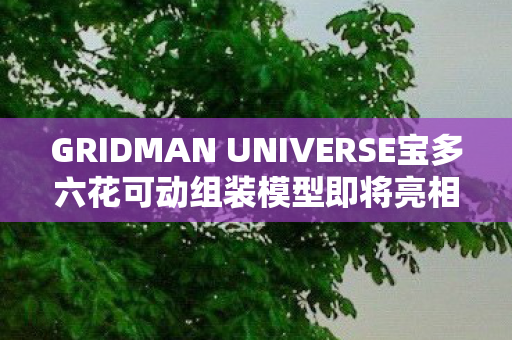 GRIDMAN UNIVERSE宝多六花可动组装模型即将亮相市场