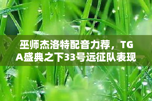 巫师杰洛特配音力荐，TGA盛典之下33号远征队表现备受瞩目