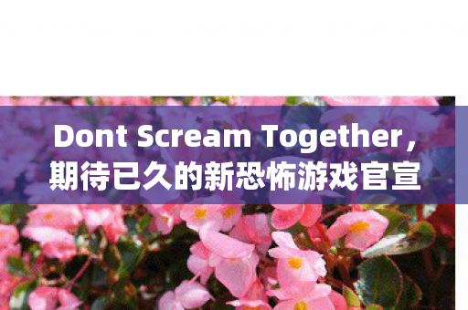 Dont Scream Together，期待已久的新恐怖游戏官宣发售日