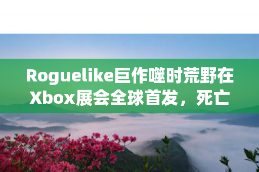 Roguelike巨作噬时荒野在Xbox展会全球首发，死亡与衰老的十年探索