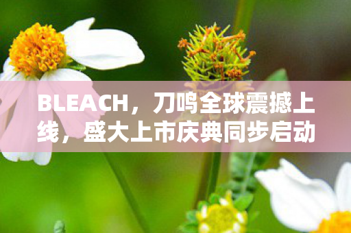 BLEACH，刀鸣全球震撼上线，盛大上市庆典同步启动！