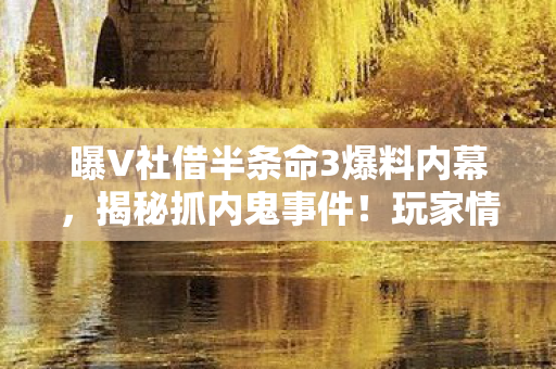 曝V社借半条命3爆料内幕，揭秘抓内鬼事件！玩家情绪从希望到绝望的波折