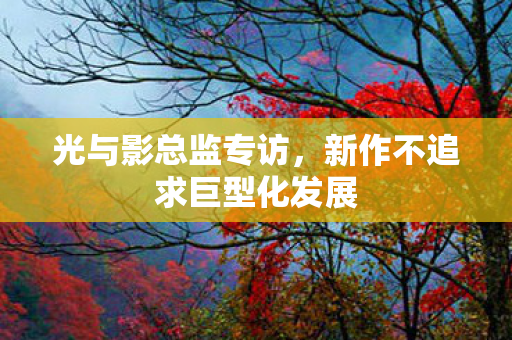 光与影总监专访，新作不追求巨型化发展