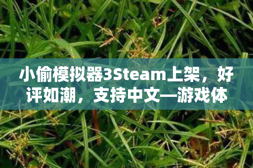 小偷模拟器3Steam上架，好评如潮，支持中文—游戏体验新篇章