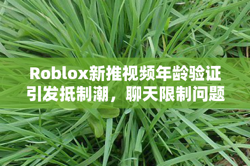 Roblox新推视频年龄验证引发抵制潮，聊天限制问题频现