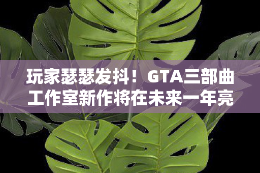 玩家瑟瑟发抖！GTA三部曲工作室新作将在未来一年亮相