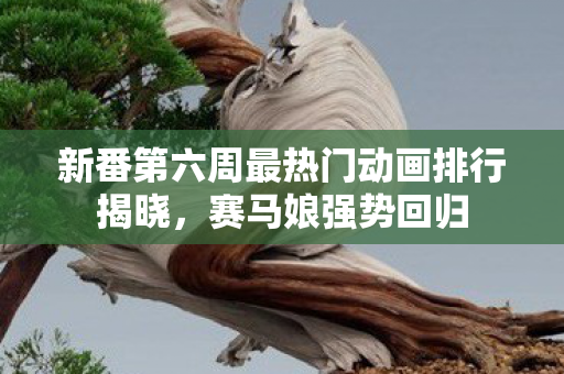 新番第六周最热门动画排行揭晓，赛马娘强势回归