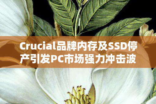 Crucial品牌内存及SSD停产引发PC市场强力冲击波