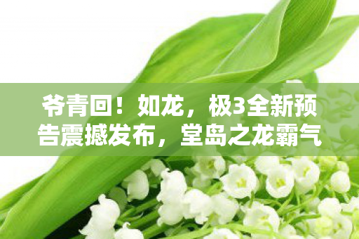 爷青回！如龙，极3全新预告震撼发布，堂岛之龙霸气归来！