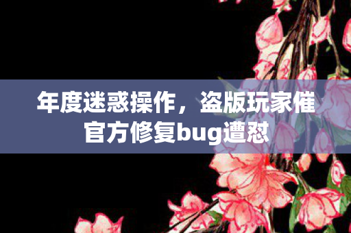 年度迷惑操作，盗版玩家催官方修复bug遭怼