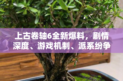 上古卷轴6全新爆料，剧情深度、游戏机制、派系纷争及预计发售时间