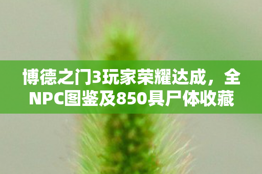 博德之门3玩家荣耀达成，全NPC图鉴及850具尸体收藏展示