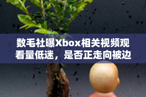 数毛社曝Xbox相关视频观看量低迷，是否正走向被边缘化？