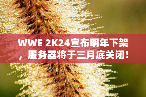 WWE 2K24宣布明年下架，服务器将于三月底关闭！震惊游戏界！