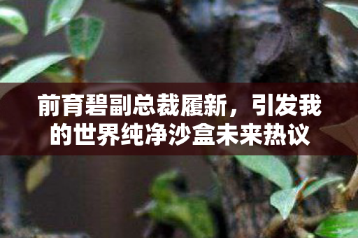 前育碧副总裁履新，引发我的世界纯净沙盒未来热议