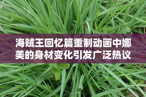 海贼王回忆篇重制动画中娜美的身材变化引发广泛热议