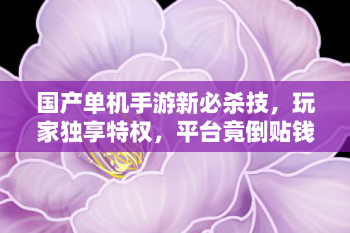 国产单机手游新必杀技，玩家独享特权，平台竟倒贴钱现象解析