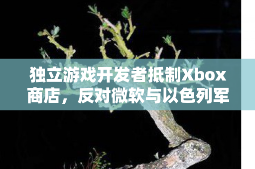 独立游戏开发者抵制Xbox商店，反对微软与以色列军方合作