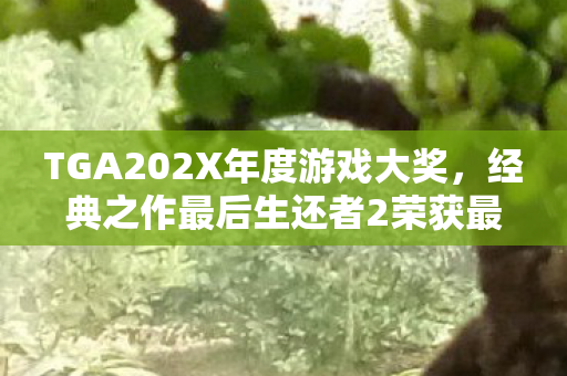 TGA202X年度游戏大奖，经典之作最后生还者2荣获最佳游戏改编作品奖