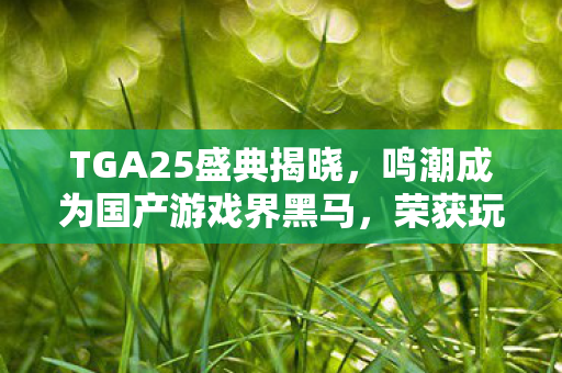 TGA25盛典揭晓，鸣潮成为国产游戏界黑马，荣获玩家之声奖！