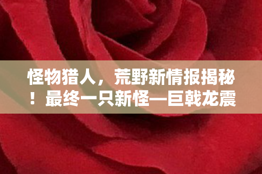 怪物猎人，荒野新情报揭秘！最终一只新怪—巨戟龙震撼登场！