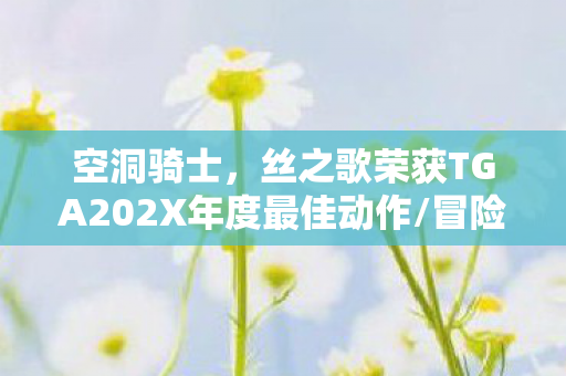 空洞骑士，丝之歌荣获TGA202X年度最佳动作/冒险游戏奖