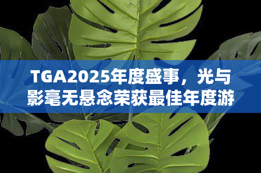 TGA2025年度盛事，光与影毫无悬念荣获最佳年度游戏大奖