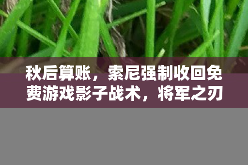 秋后算账，索尼强制收回免费游戏影子战术，将军之刃