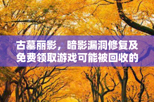 古墓丽影，暗影漏洞修复及免费领取游戏可能被回收的风险