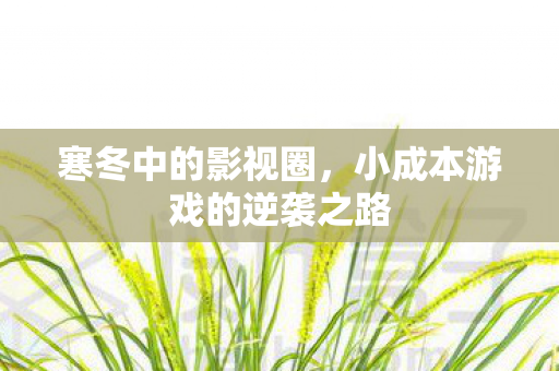 寒冬中的影视圈，小成本游戏的逆袭之路