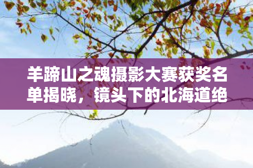 羊蹄山之魂摄影大赛获奖名单揭晓，镜头下的北海道绝景惊艳全球