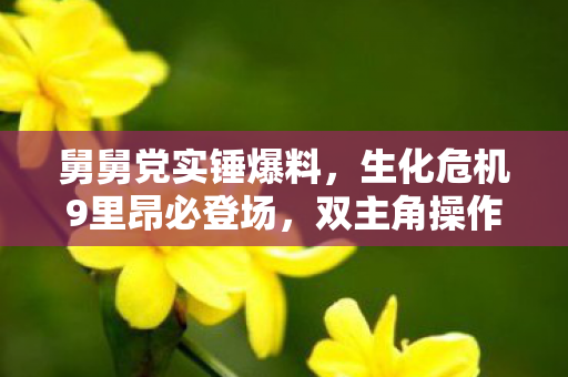 舅舅党实锤爆料，生化危机9里昂必登场，双主角操作确认