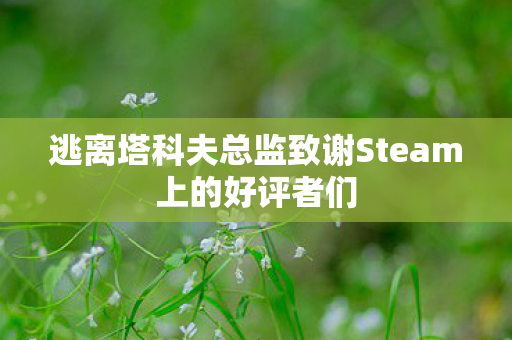 逃离塔科夫总监致谢Steam上的好评者们