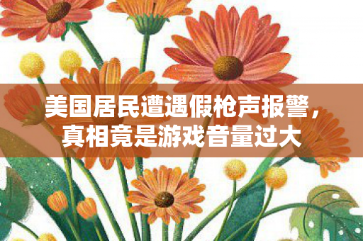 美国居民遭遇假枪声报警，真相竟是游戏音量过大