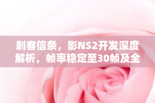 刺客信条，影NS2开发深度解析，帧率稳定至30帧及全新功能追加纪实