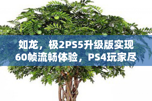 如龙，极2PS5升级版实现60帧流畅体验，PS4玩家尽享免费升级