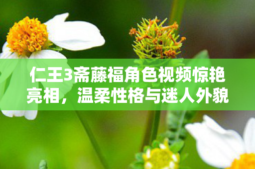 仁王3斋藤福角色视频惊艳亮相，温柔性格与迷人外貌备受瞩目