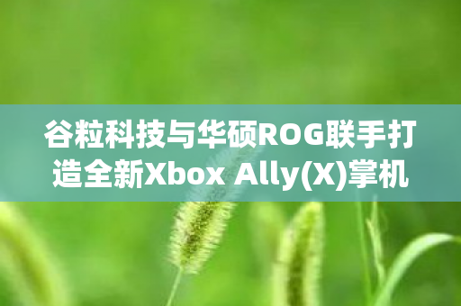 谷粒科技与华硕ROG联手打造全新Xbox Ally(X)掌机TMR摇杆模组，游戏硬件的新里程碑