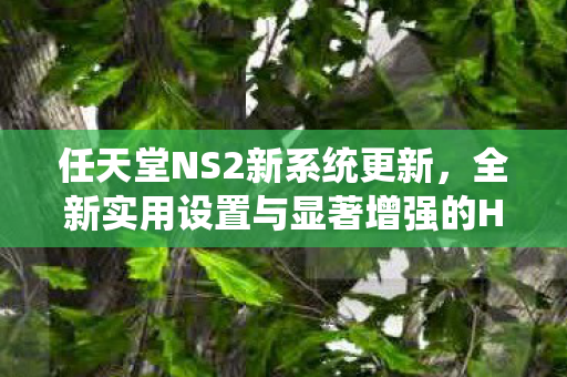 任天堂NS2新系统更新，全新实用设置与显著增强的HDR调校功能