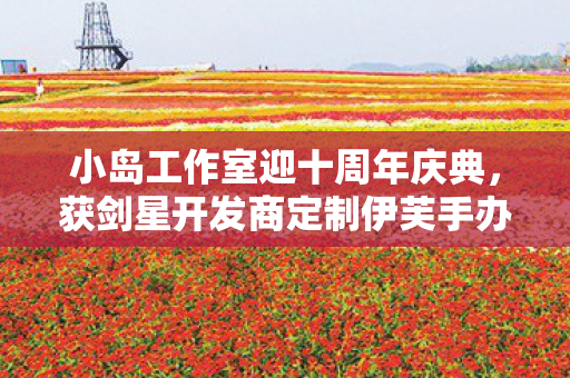 小岛工作室迎十周年庆典，获剑星开发商定制伊芙手办的珍贵时刻