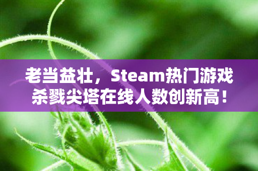 老当益壮，Steam热门游戏杀戮尖塔在线人数创新高！
