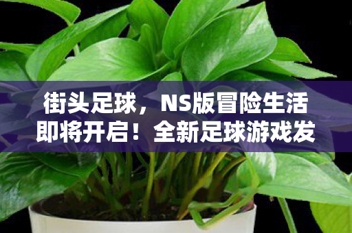 街头足球，NS版冒险生活即将开启！全新足球游戏发售计划揭晓！