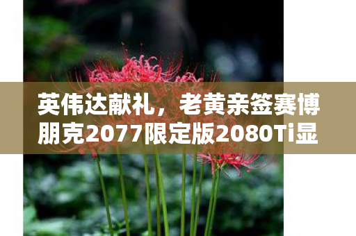 英伟达献礼，老黄亲签赛博朋克2077限定版2080Ti显卡的独特魅力