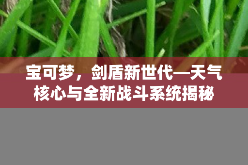 宝可梦，剑盾新世代—天气核心与全新战斗系统揭秘