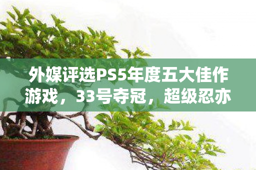 外媒评选PS5年度五大佳作游戏，33号夺冠，超级忍亦上榜